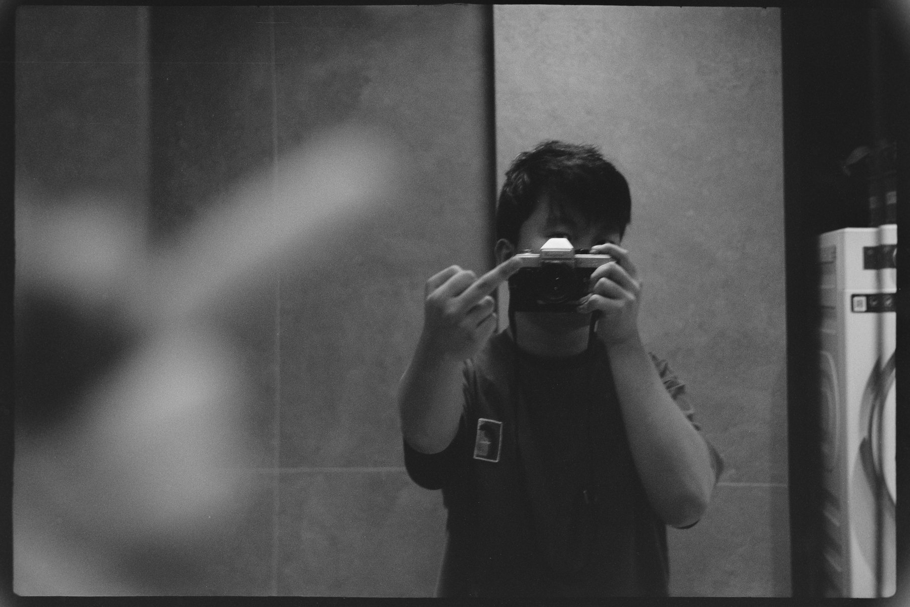 Timing Fish 肖像